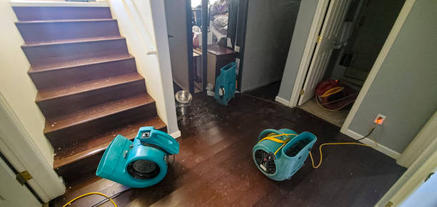 Best Flooded house restoration  in Grand Bay, AL