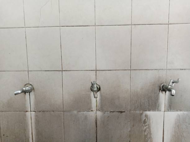 Best Water damage cleanup near me  in Grand Bay, AL
