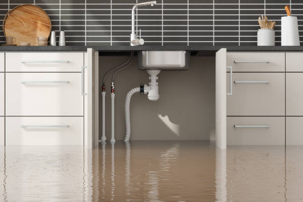 Best Water damage restoration near me  in Grand Bay, AL