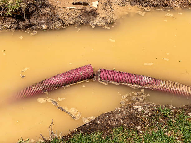 Best Local water damage restoration  in Grand Bay, AL